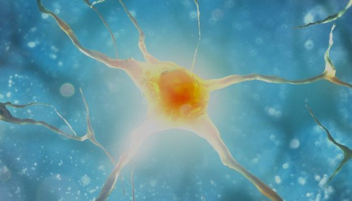 Neuromodulação - Ou como acordar seu organismo para a saúde.