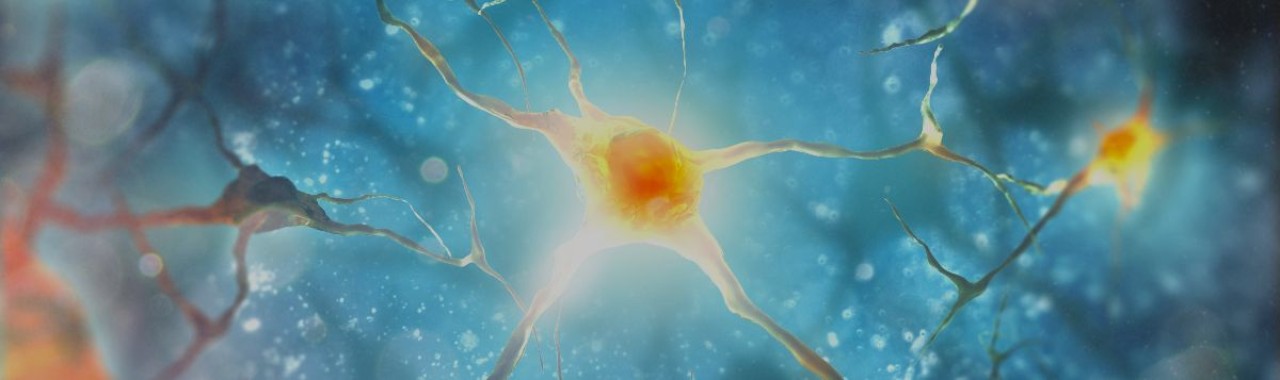 Neuromodulação - Ou como acordar seu organismo para a saúde.